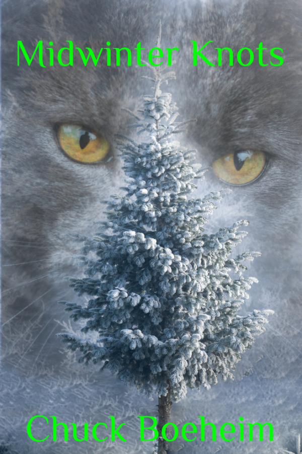 Cover of Midwinter Knots